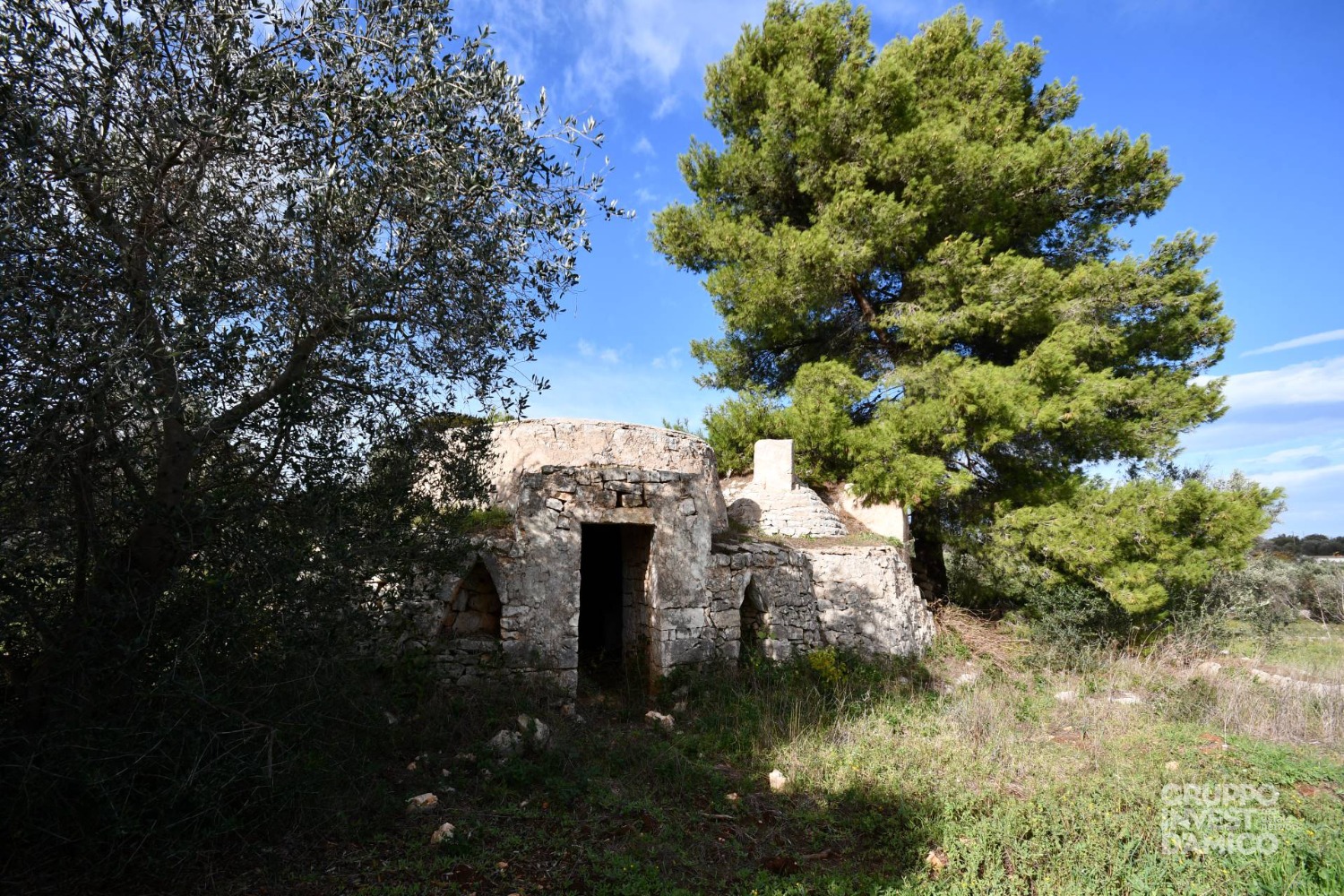 immagine annuncio 1 di 9