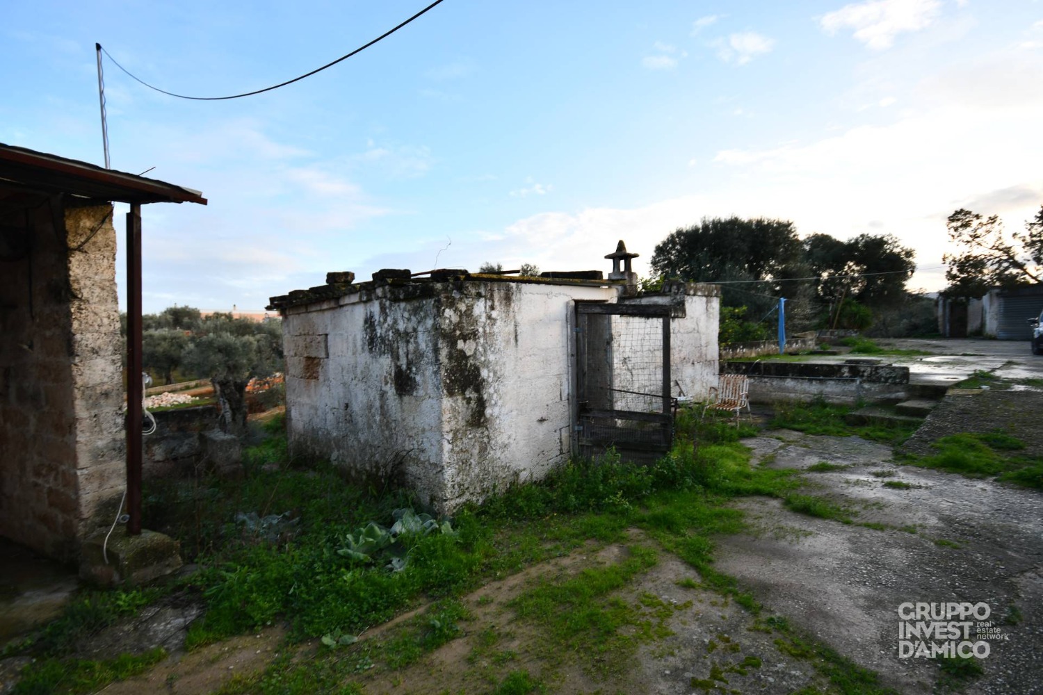 immagine annuncio 5 di 12
