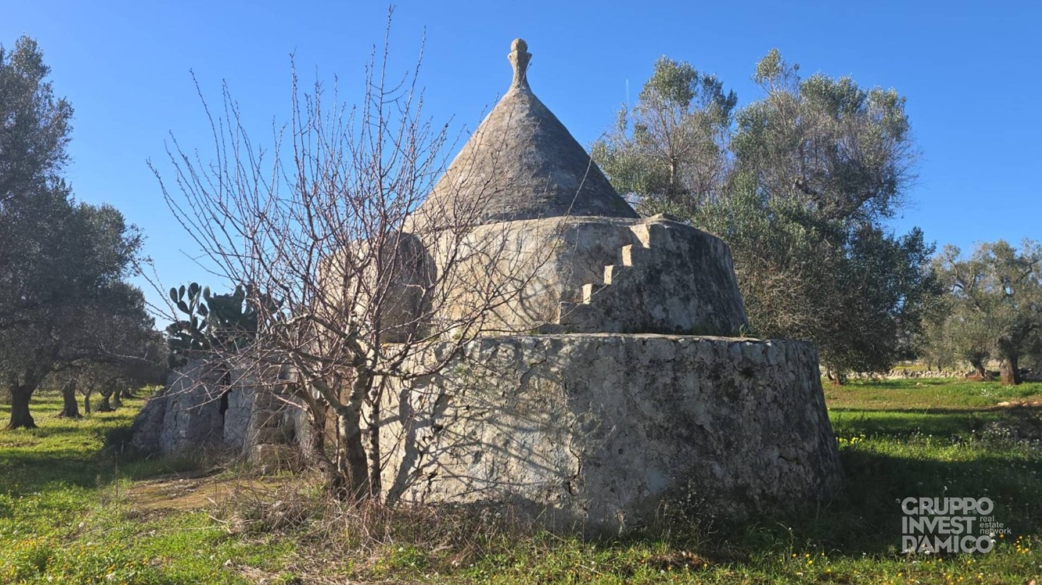 immagine annuncio 1 di 4