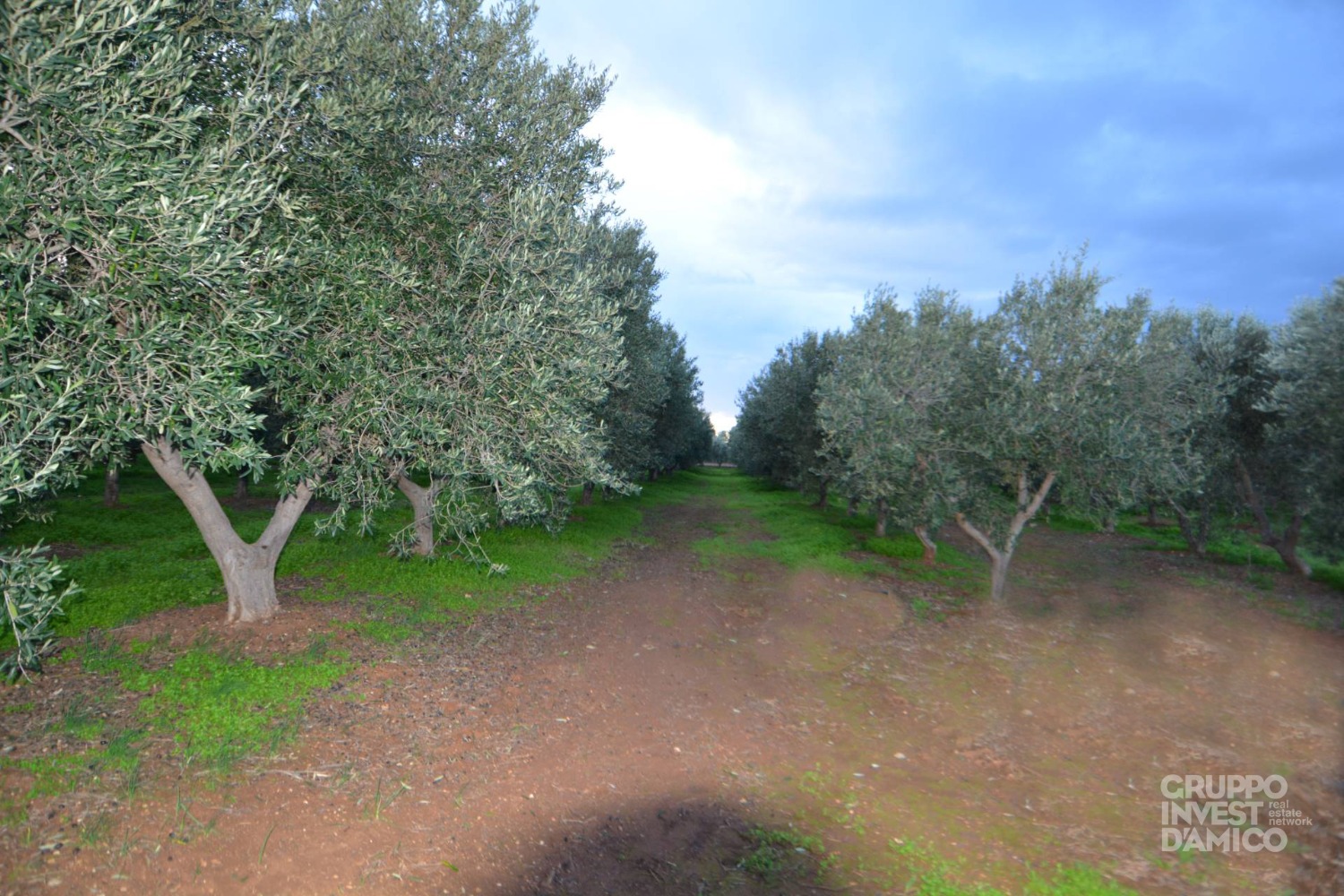 immagine annuncio 2 di 4