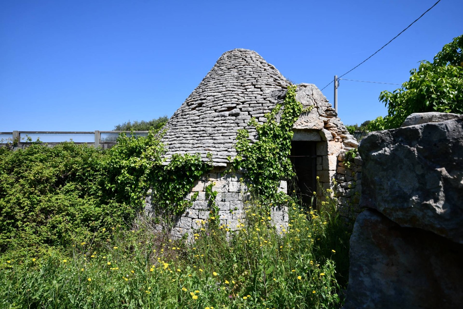 immagine annuncio 5 di 13