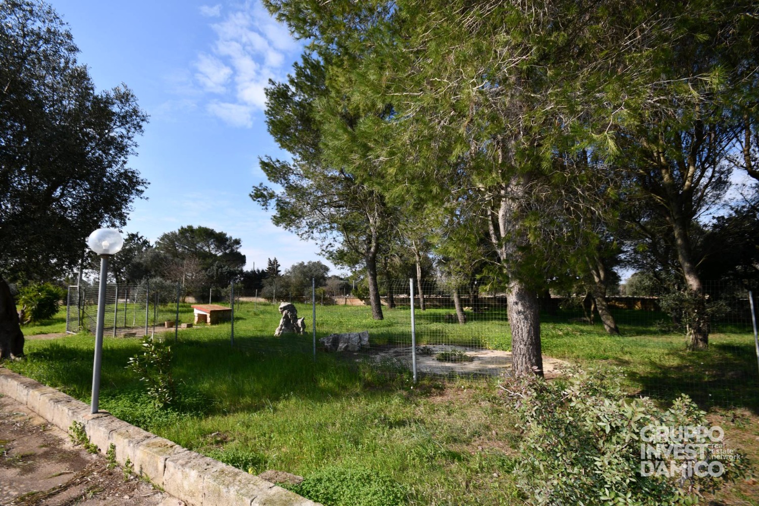 immagine annuncio 9 di 14