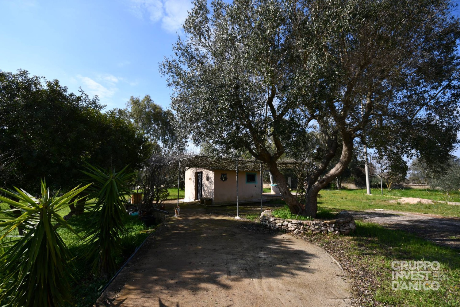 immagine annuncio 10 di 14