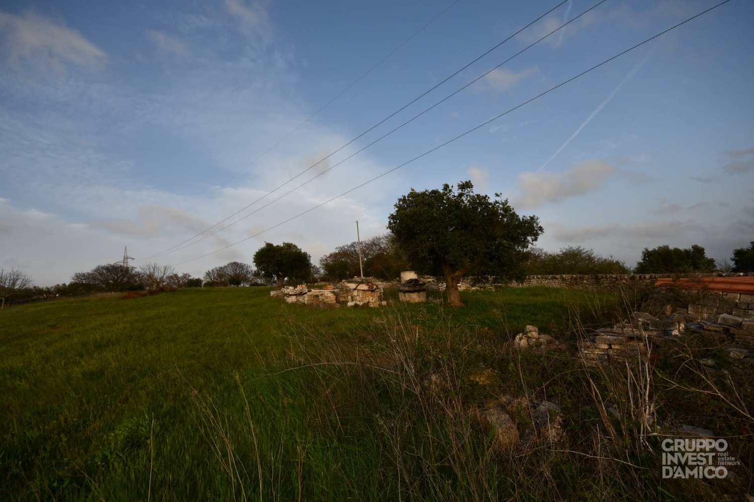 immagine annuncio 8 di 12