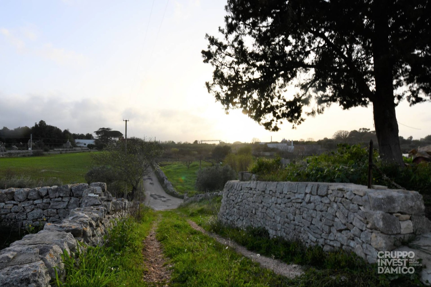 immagine annuncio 9 di 12