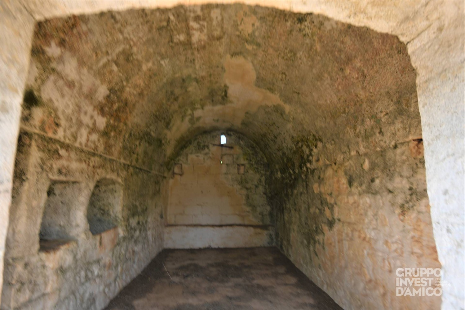 immagine annuncio 1 di 11