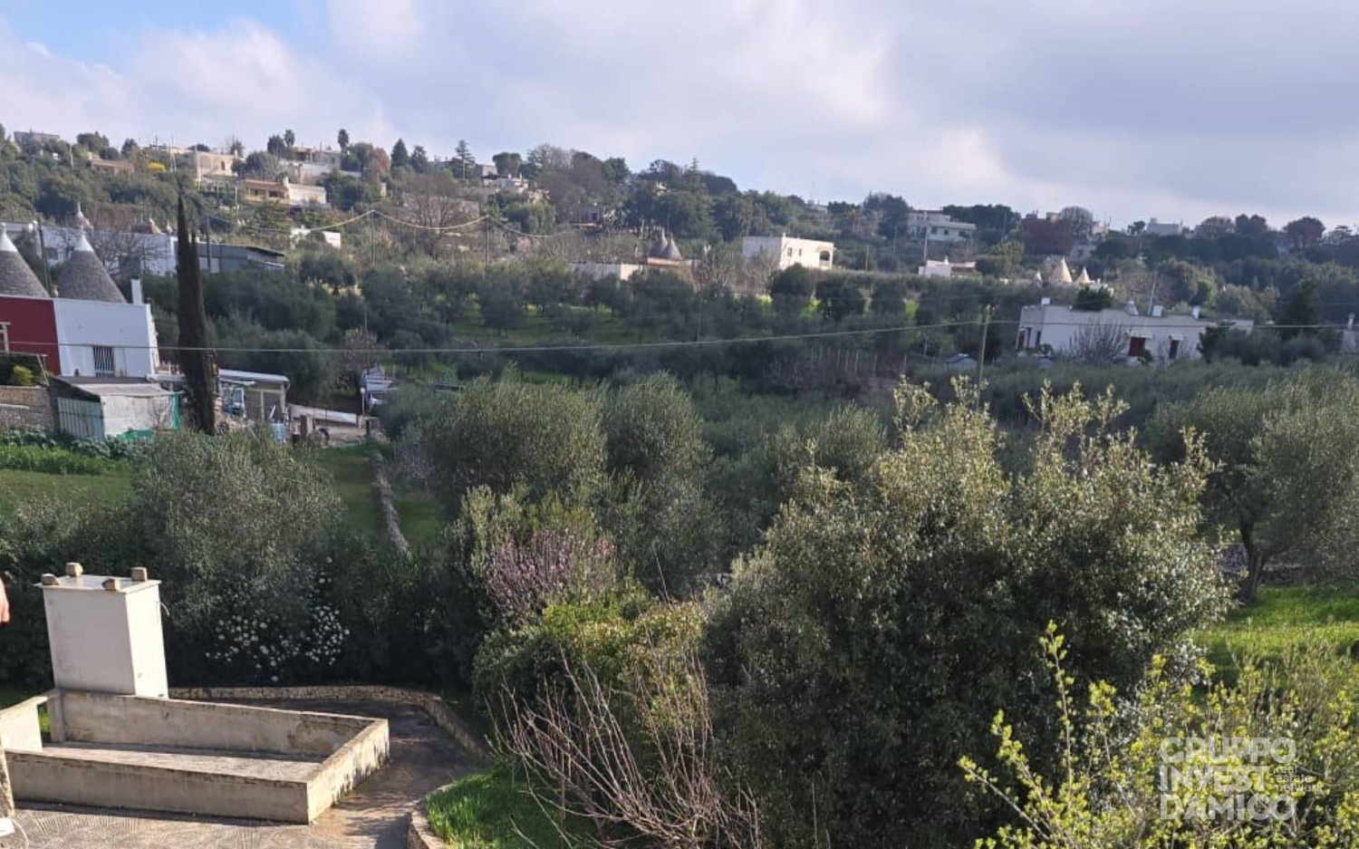 immagine annuncio 3 di 6