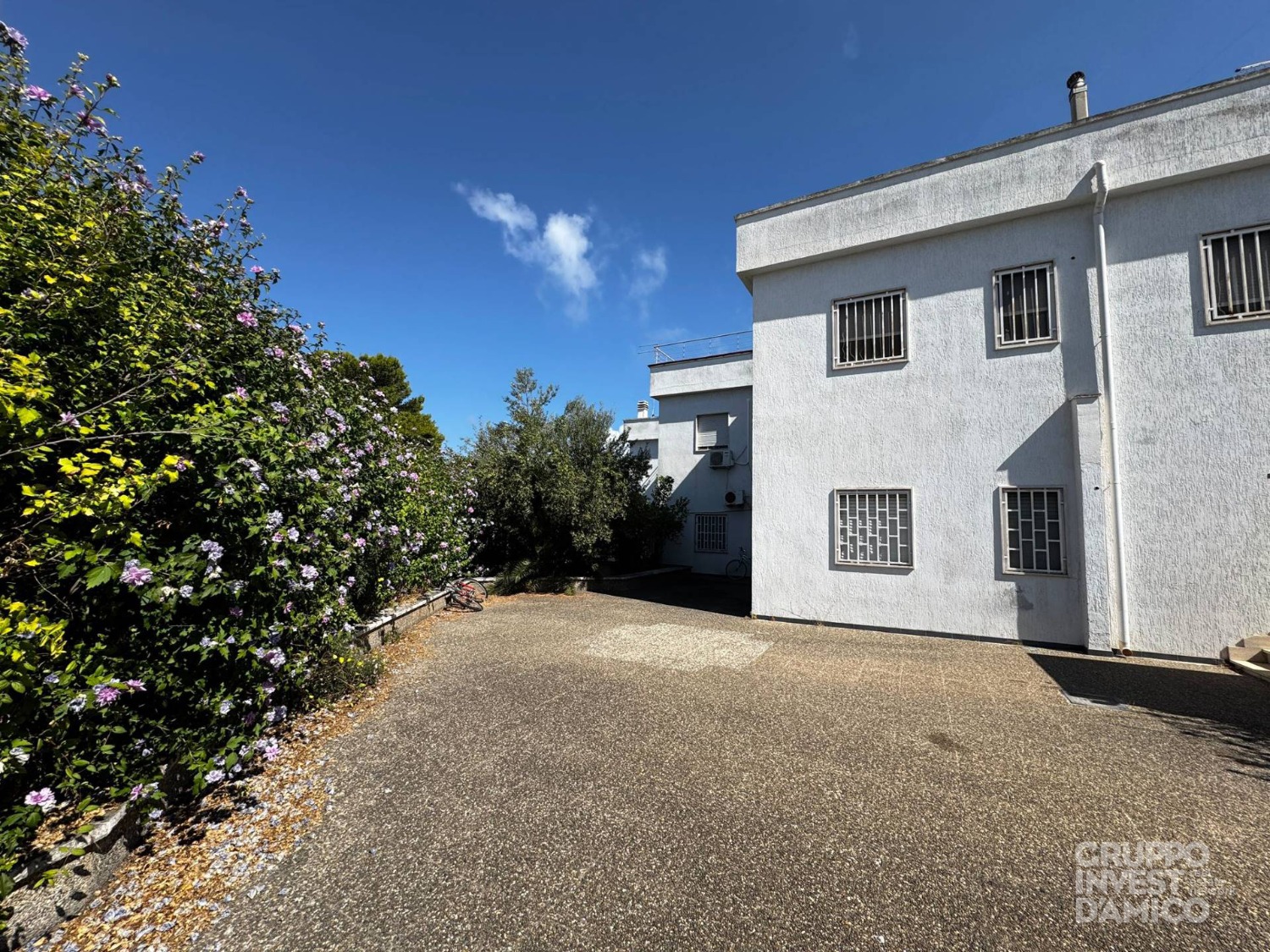 immagine annuncio 6 di 8