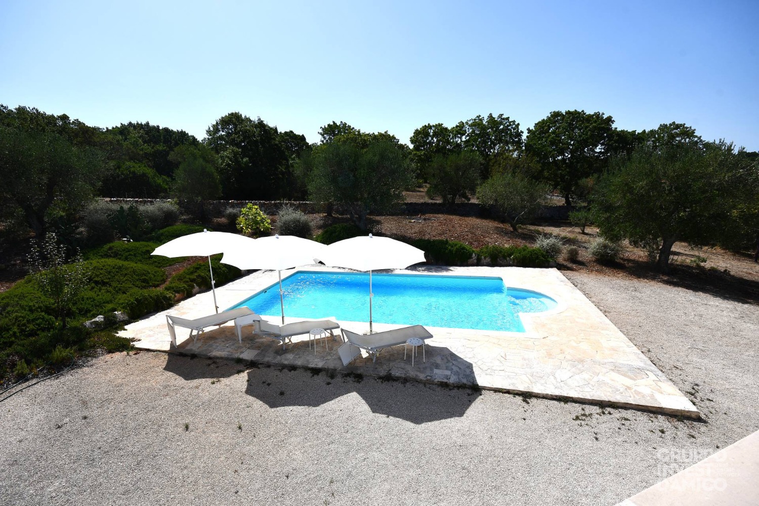 immagine annuncio 10 di 13