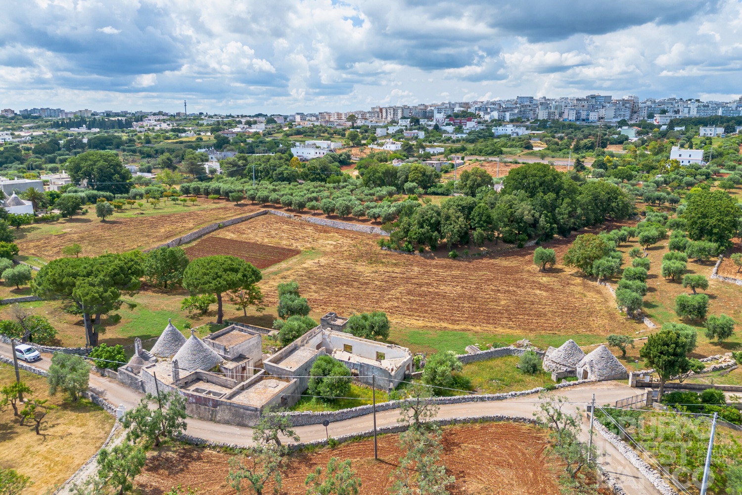 immagine annuncio 1 di 14