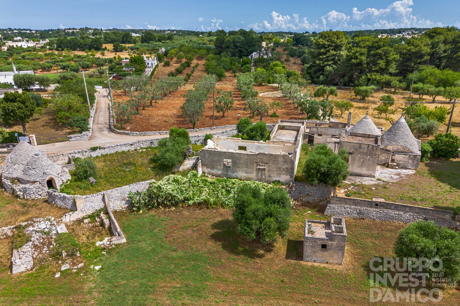 immagine annuncio 7 di 14