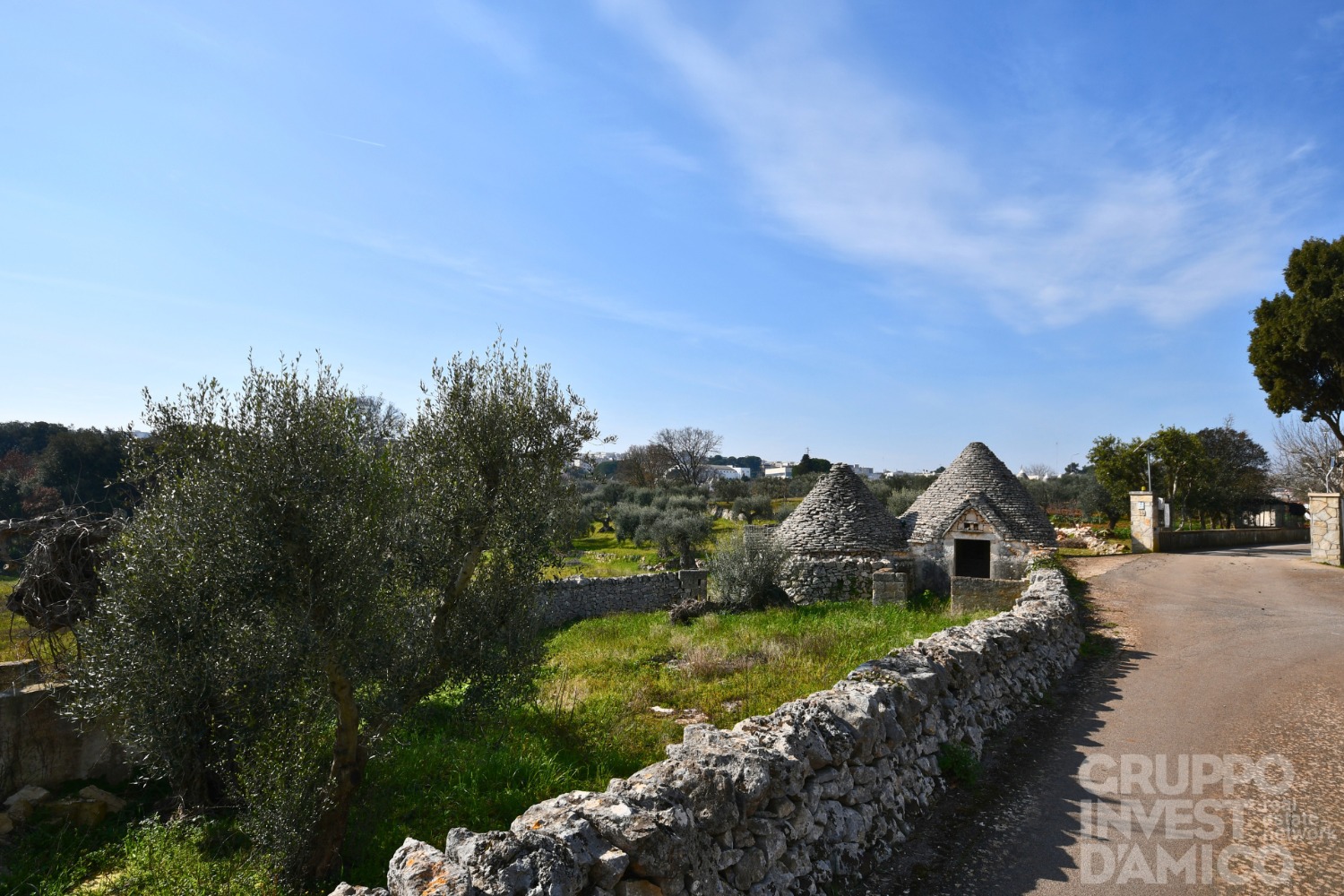 immagine annuncio 8 di 14