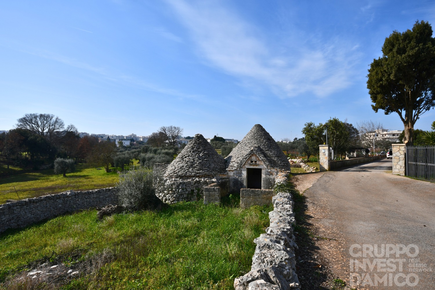 immagine annuncio 9 di 14