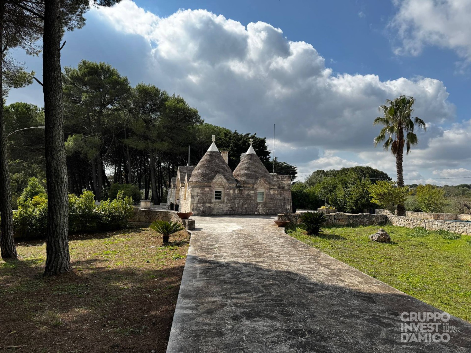 immagine annuncio 3 di 14