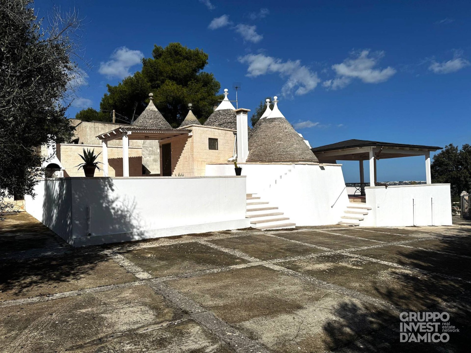 immagine annuncio 1 di 14