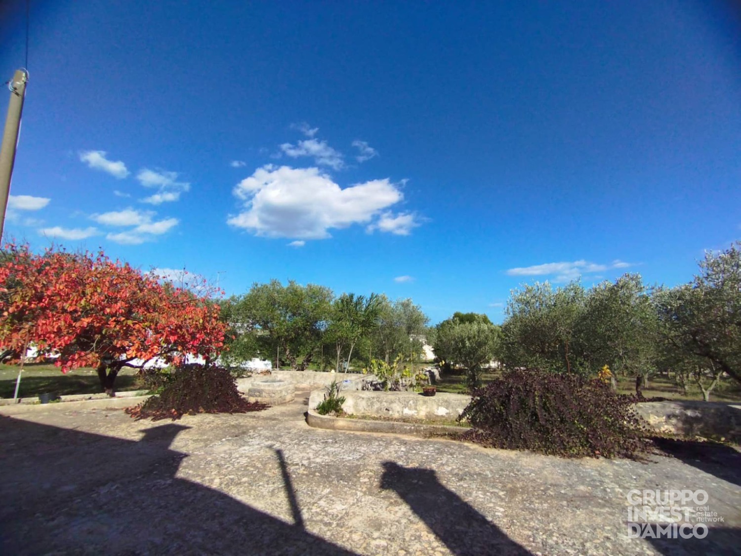 immagine annuncio 5 di 8