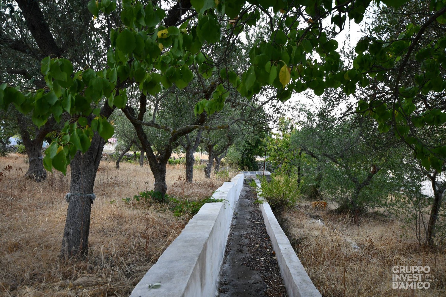 immagine annuncio 2 di 7