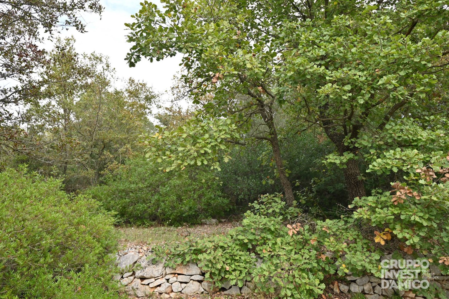 immagine annuncio 2 di 4