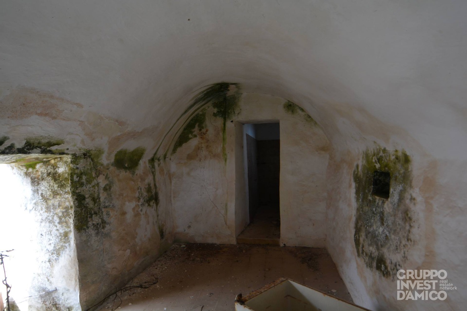 immagine annuncio 3 di 8