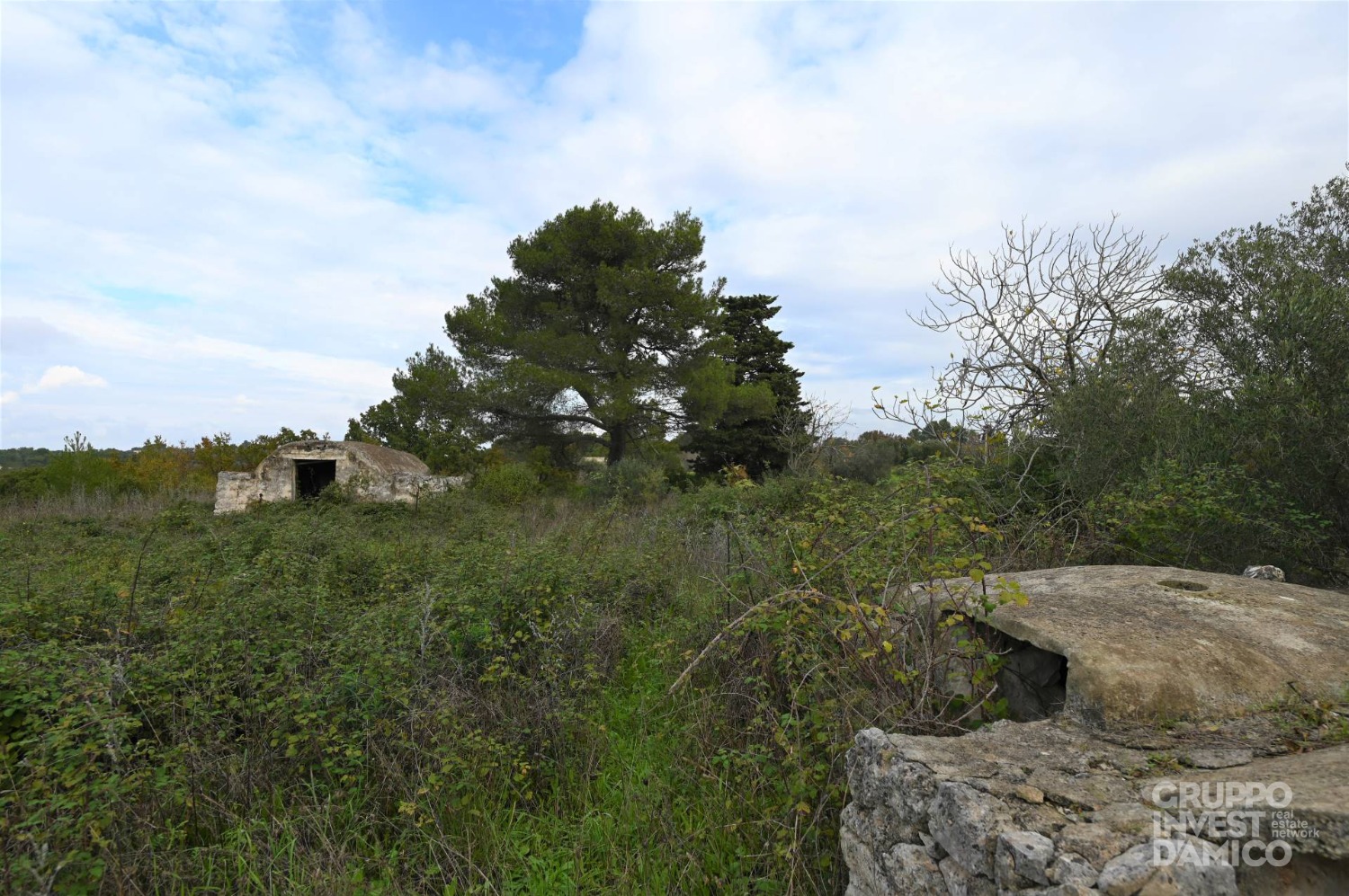 immagine annuncio 5 di 8