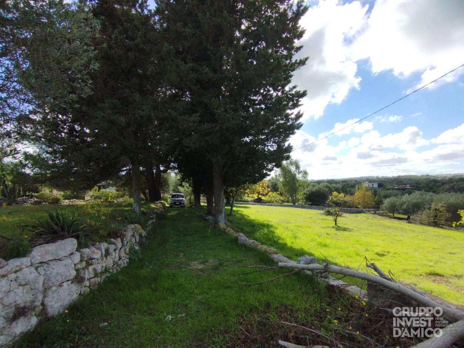 immagine annuncio 6 di 9