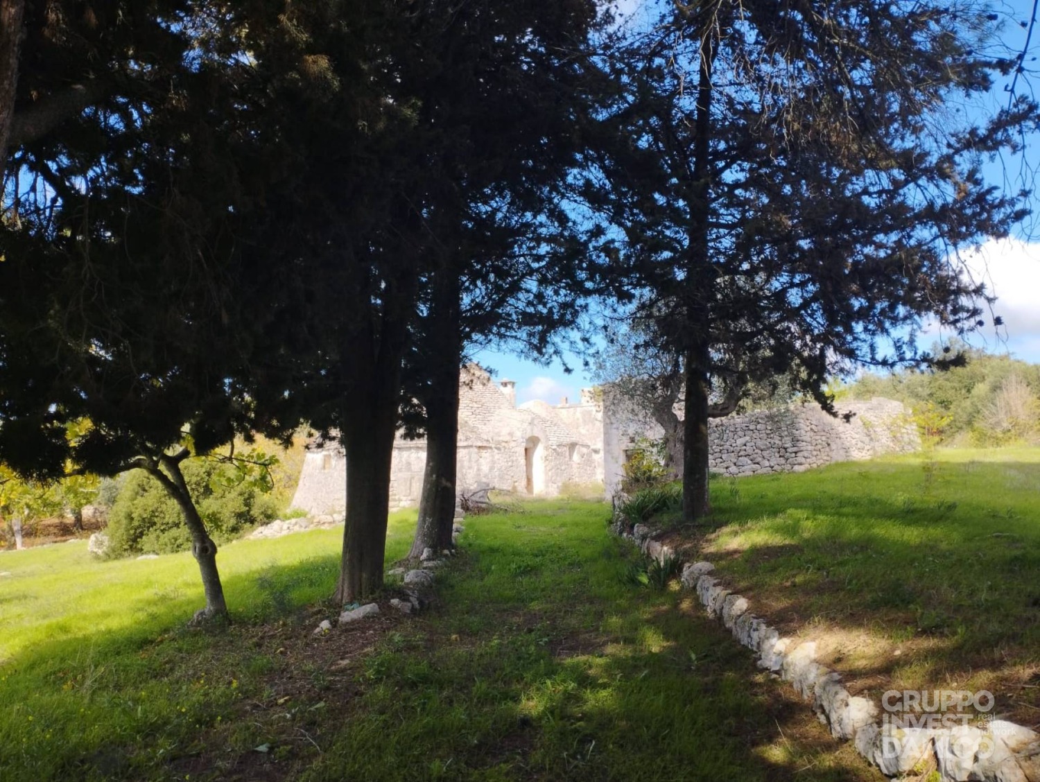 immagine annuncio 7 di 9