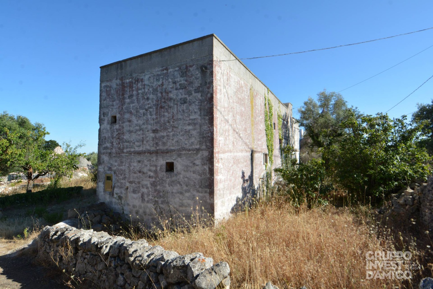 immagine annuncio 4 di 8