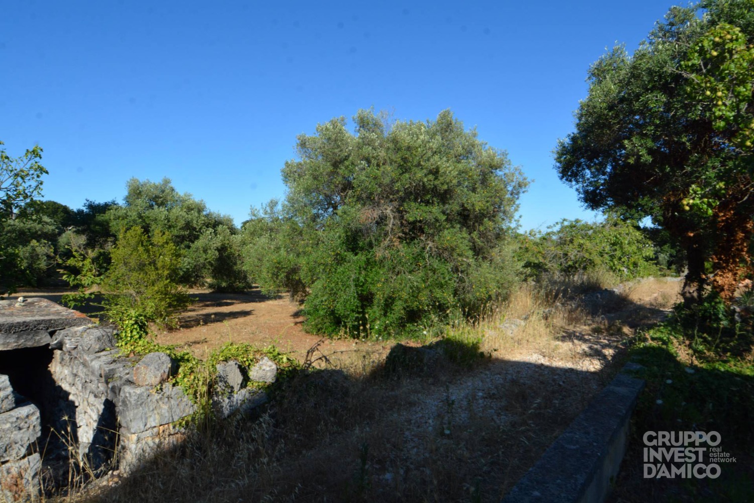 immagine annuncio 5 di 8