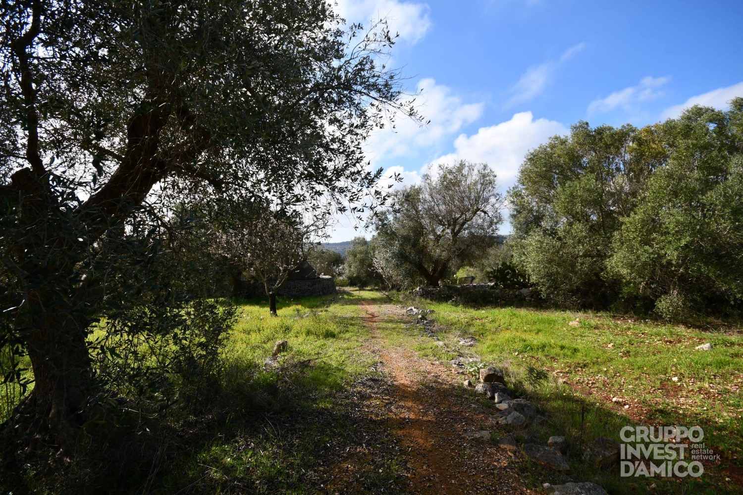 immagine annuncio 5 di 13