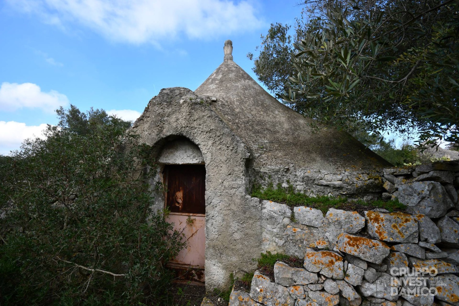 immagine annuncio 7 di 13