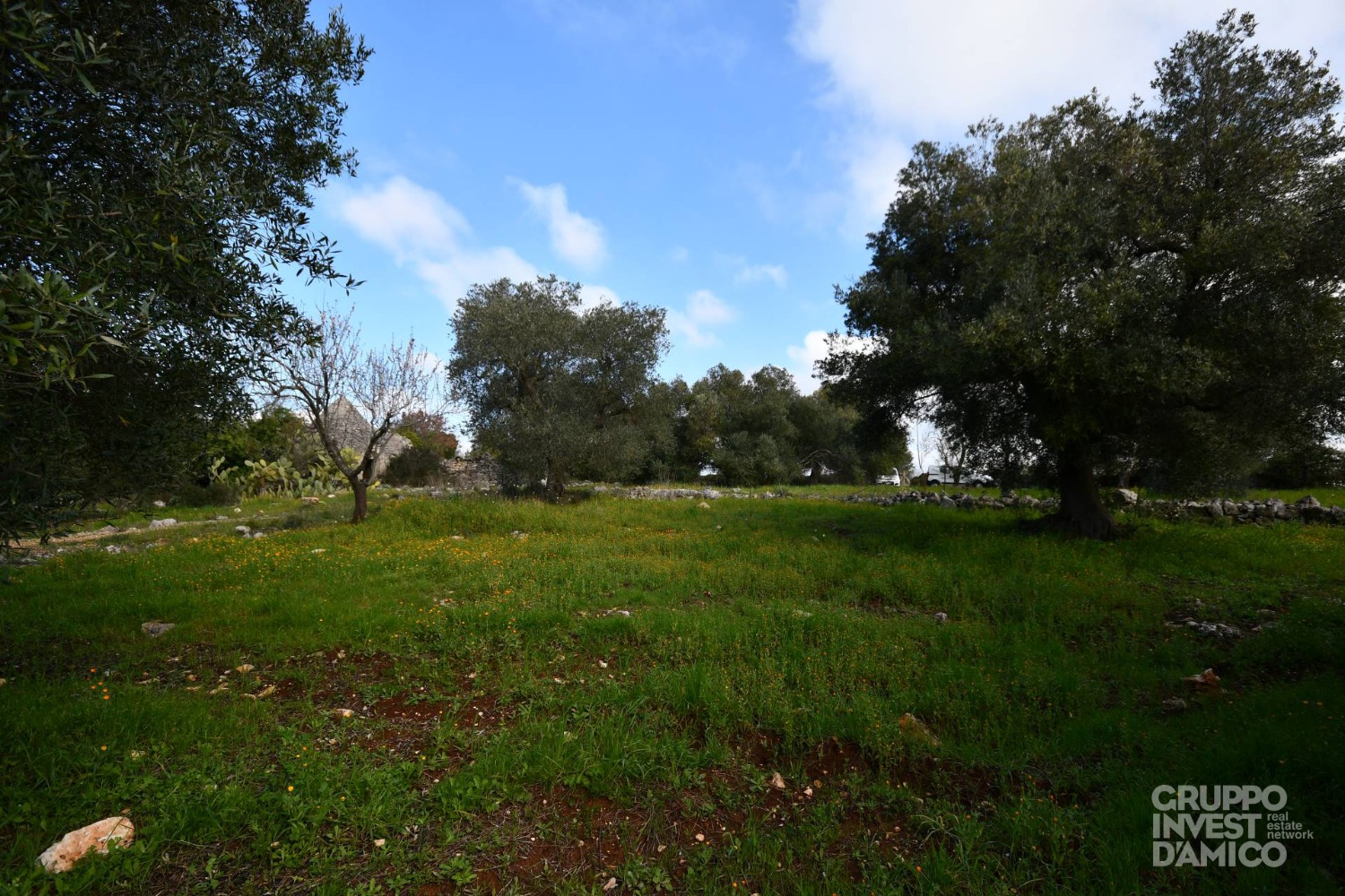 immagine annuncio 8 di 13