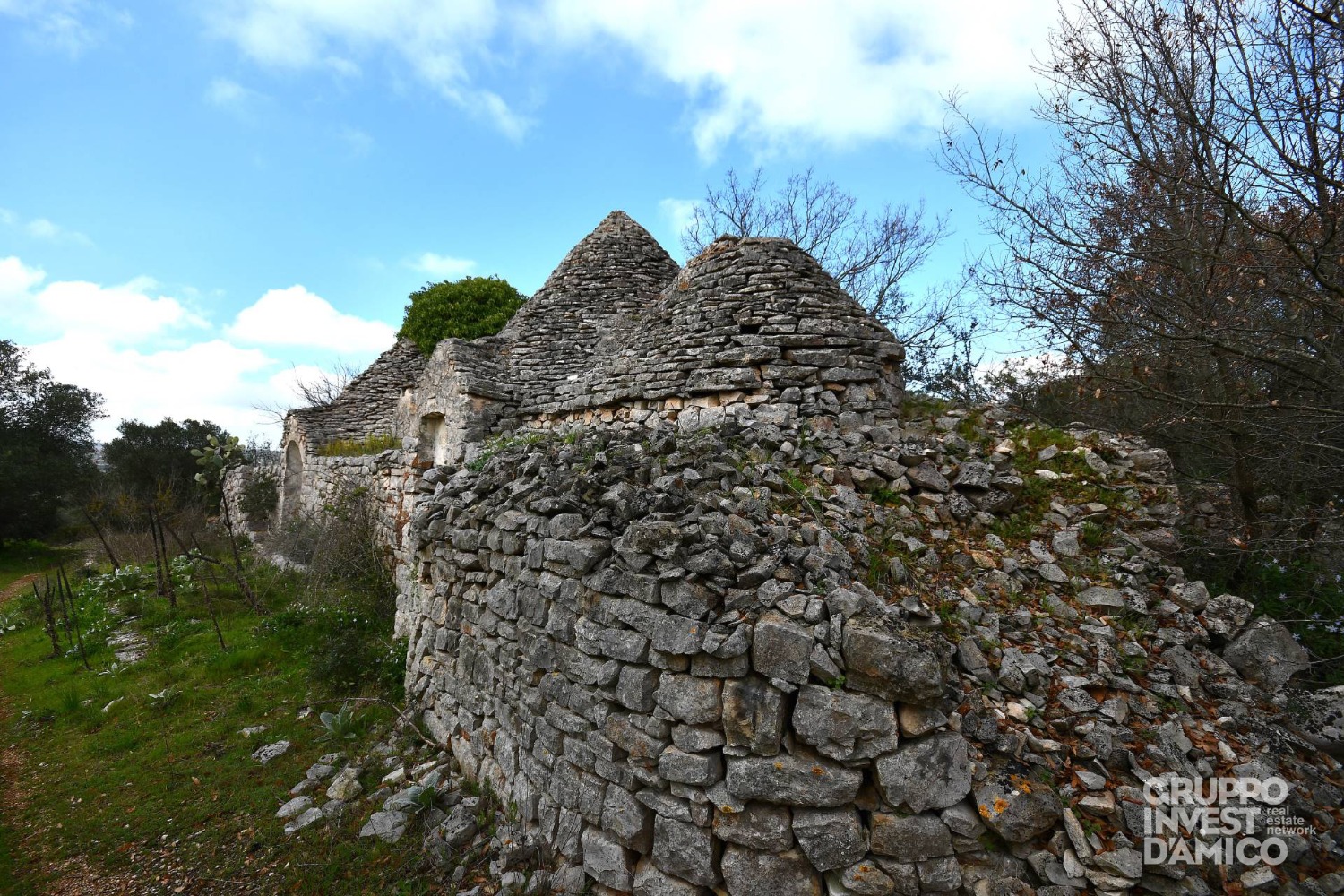 immagine annuncio 9 di 13