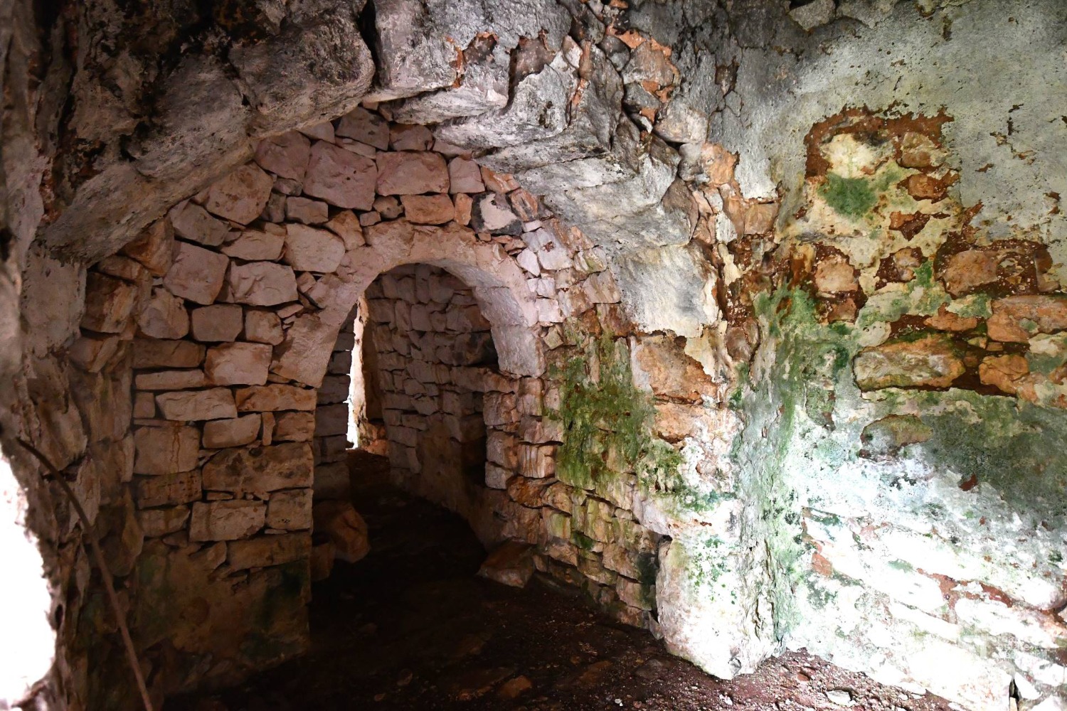 immagine annuncio 10 di 13