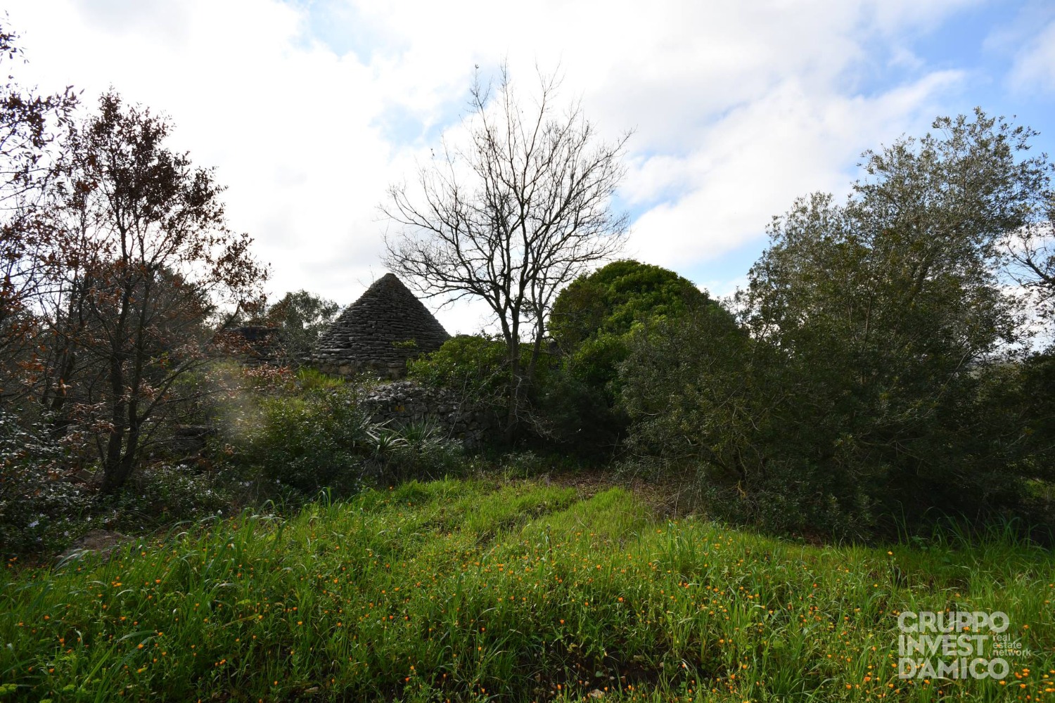 immagine annuncio 5 di 10