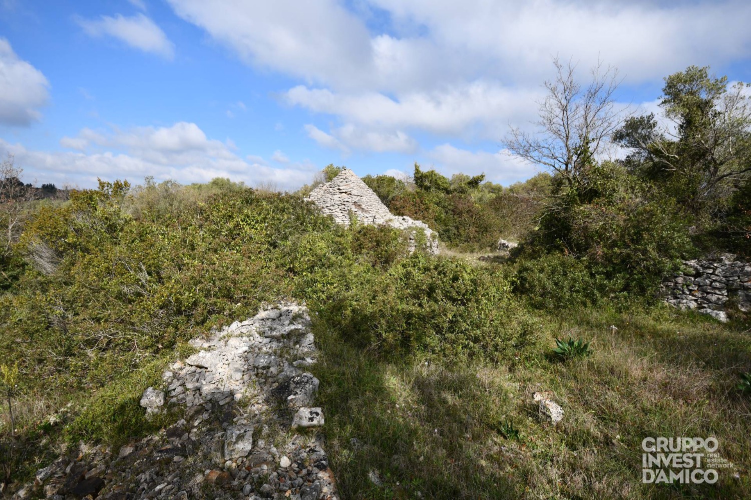 immagine annuncio 6 di 10