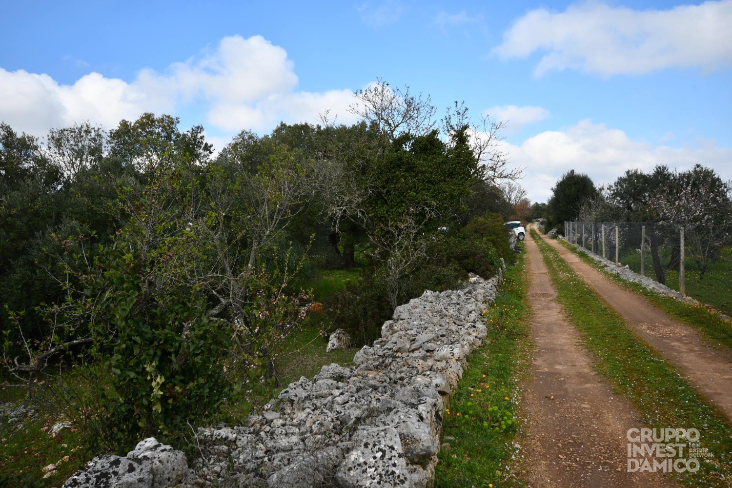 immagine annuncio 8 di 10