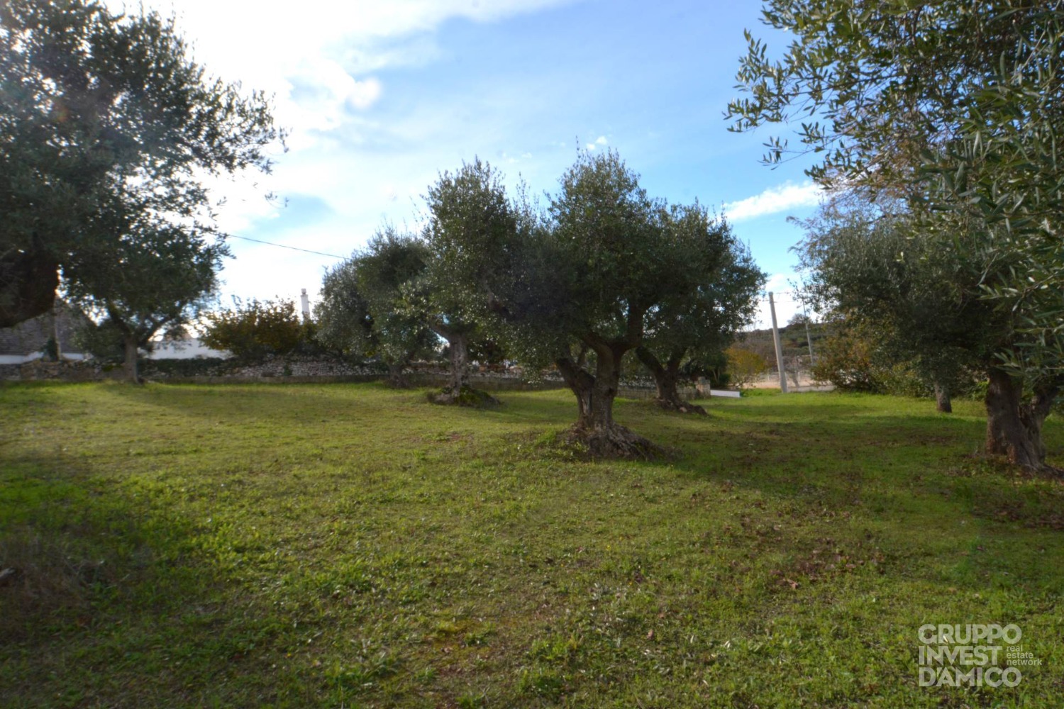 immagine annuncio 2 di 6