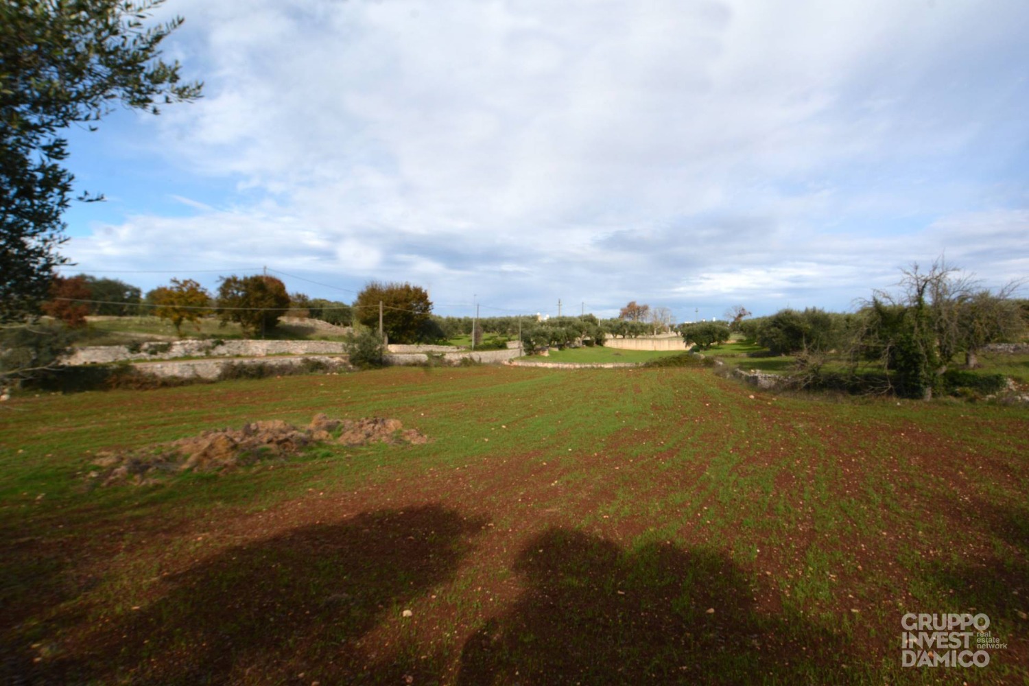 immagine annuncio 3 di 6