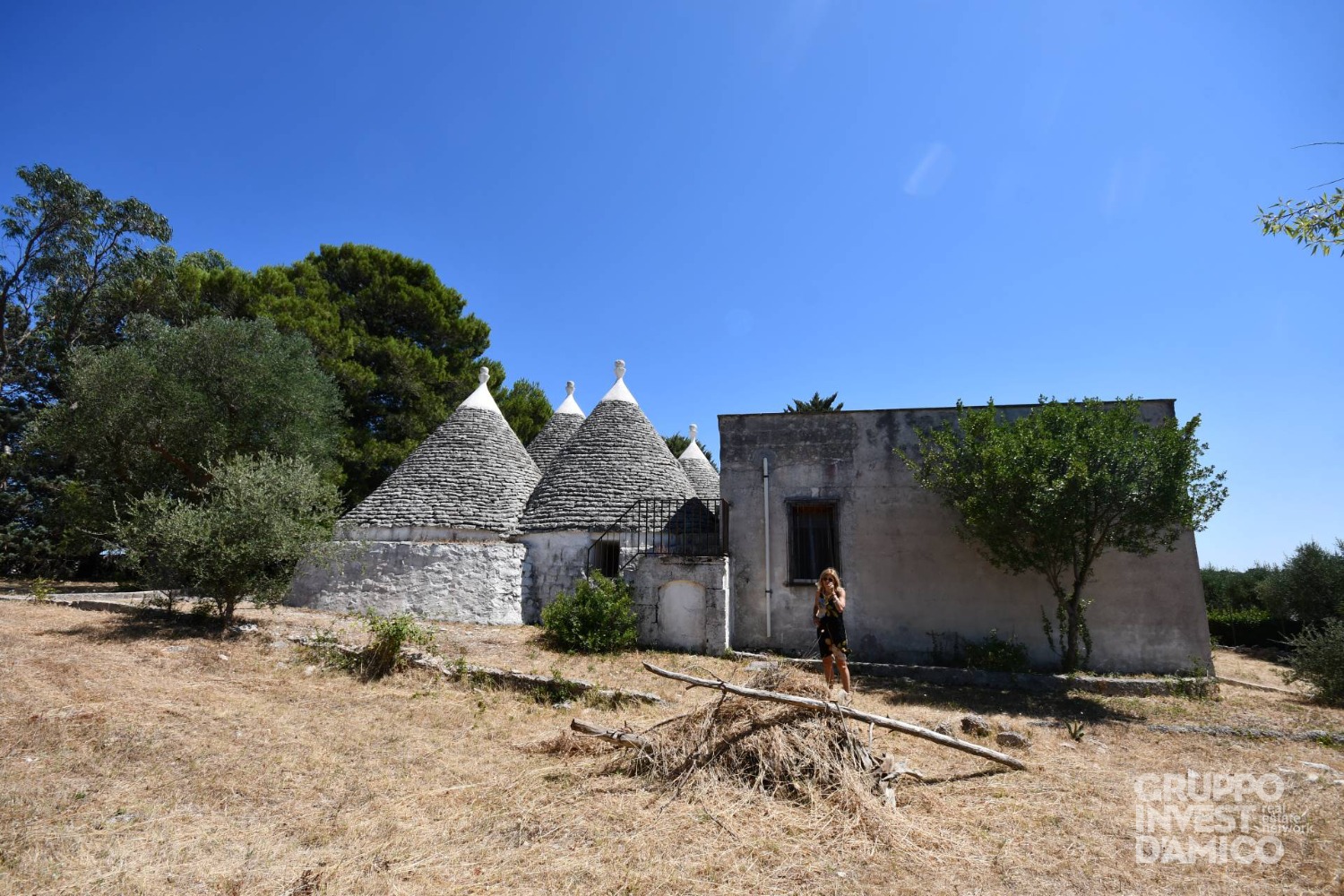 immagine annuncio 1 di 10