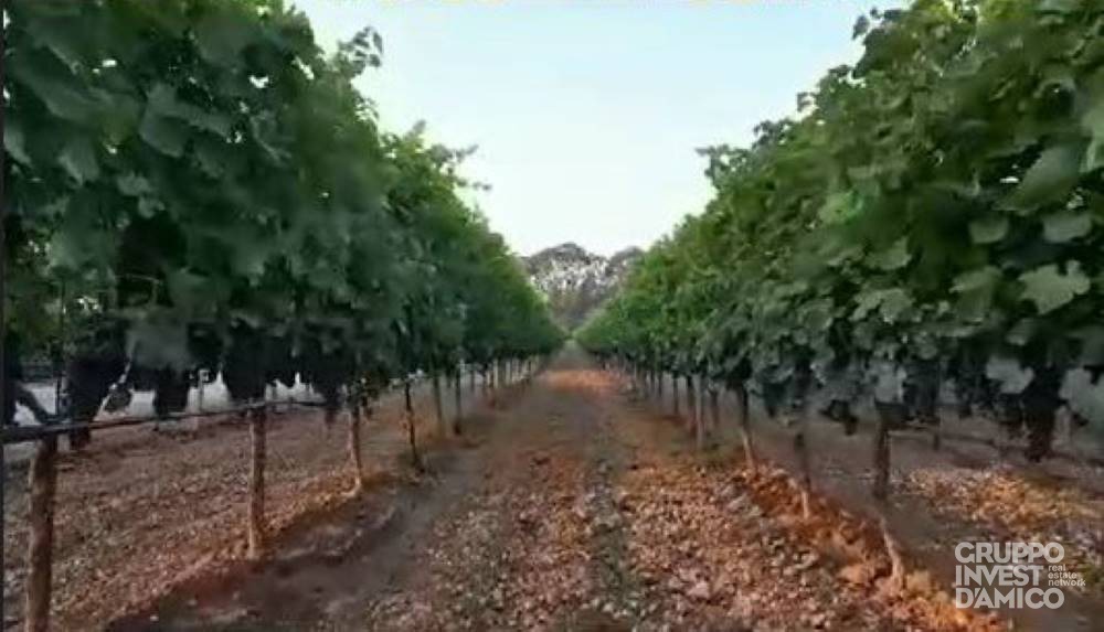 immagine annuncio 2 di 6