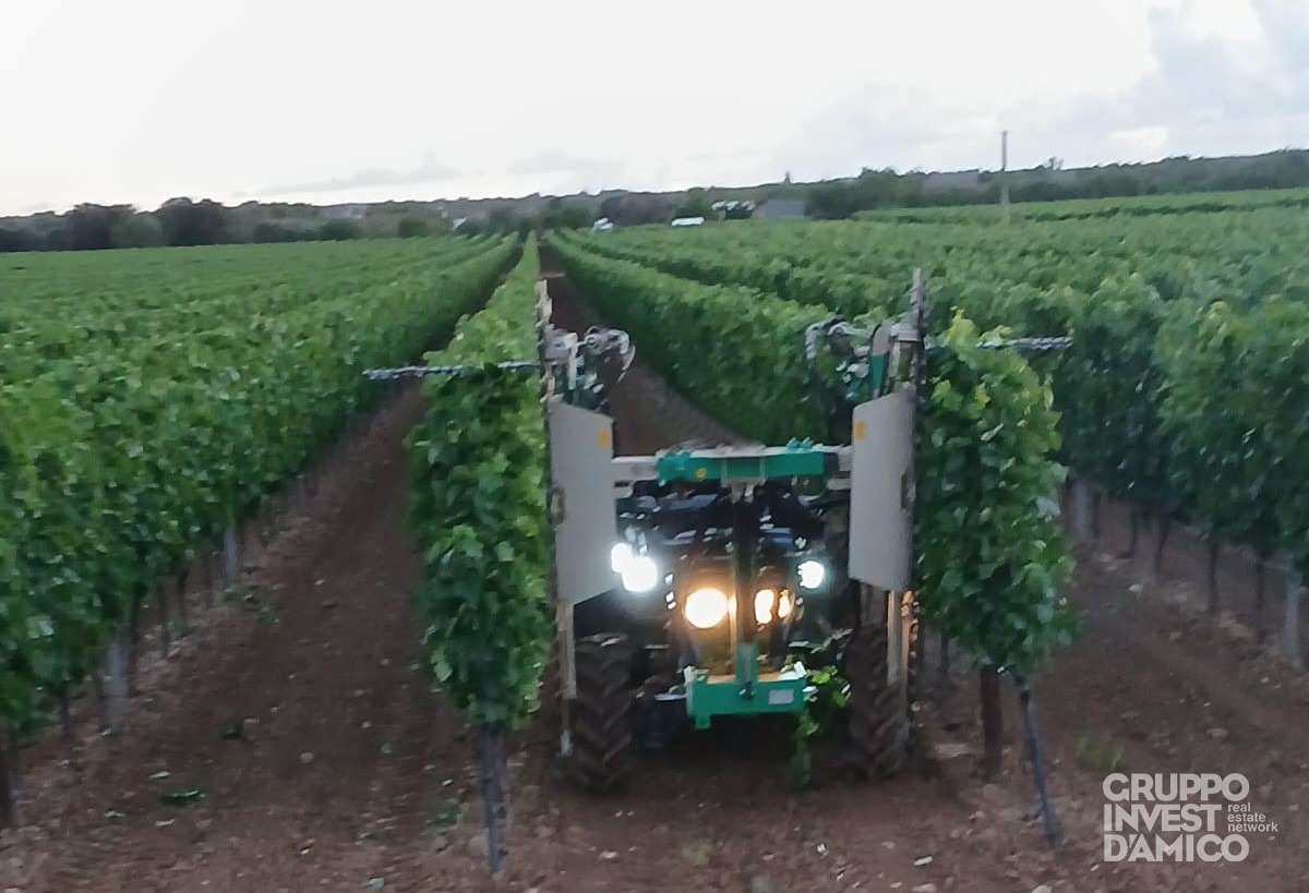 immagine annuncio 4 di 6