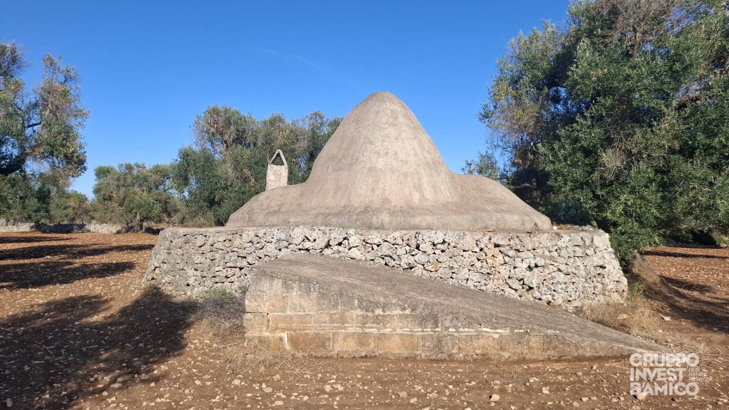 immagine annuncio 1 di 7