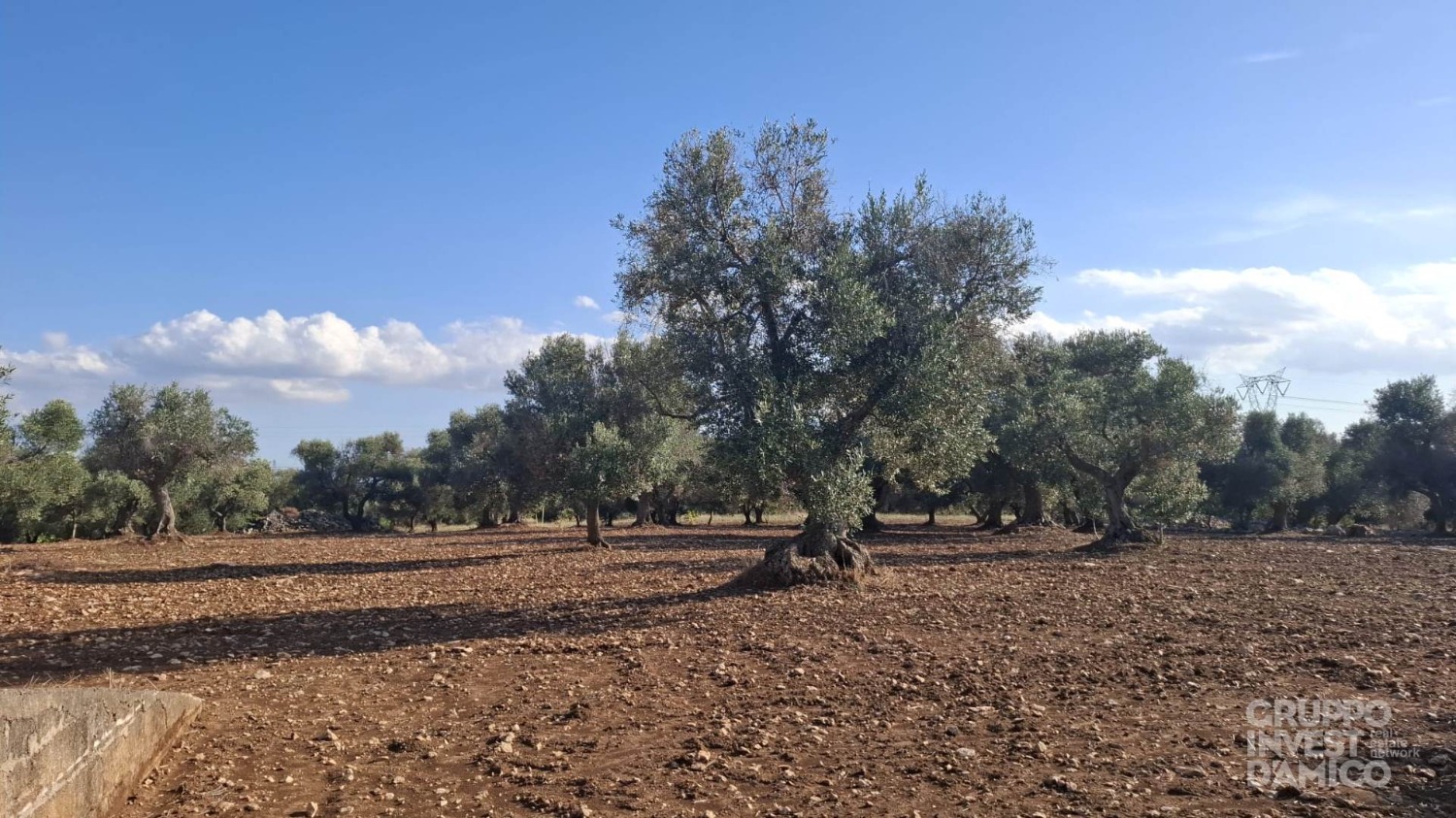 immagine annuncio 2 di 7