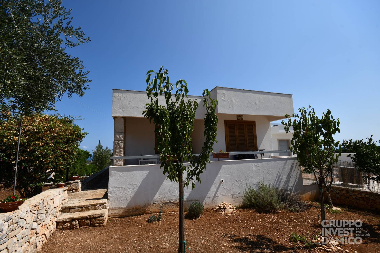 immagine annuncio 11 di 14