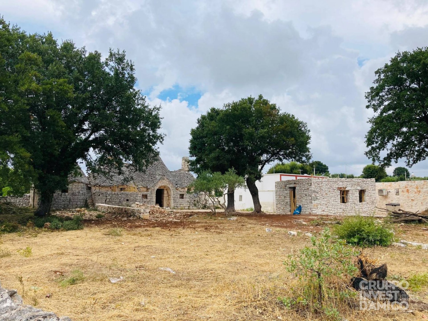 immagine annuncio 2 di 8