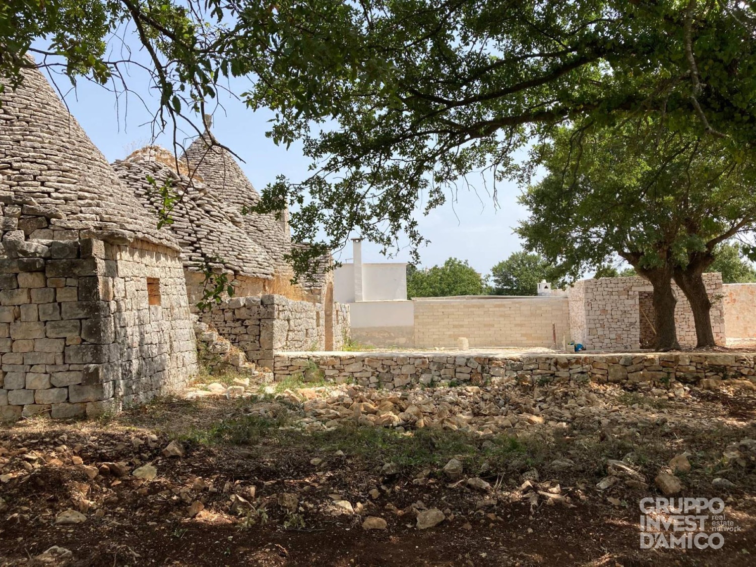 immagine annuncio 3 di 8