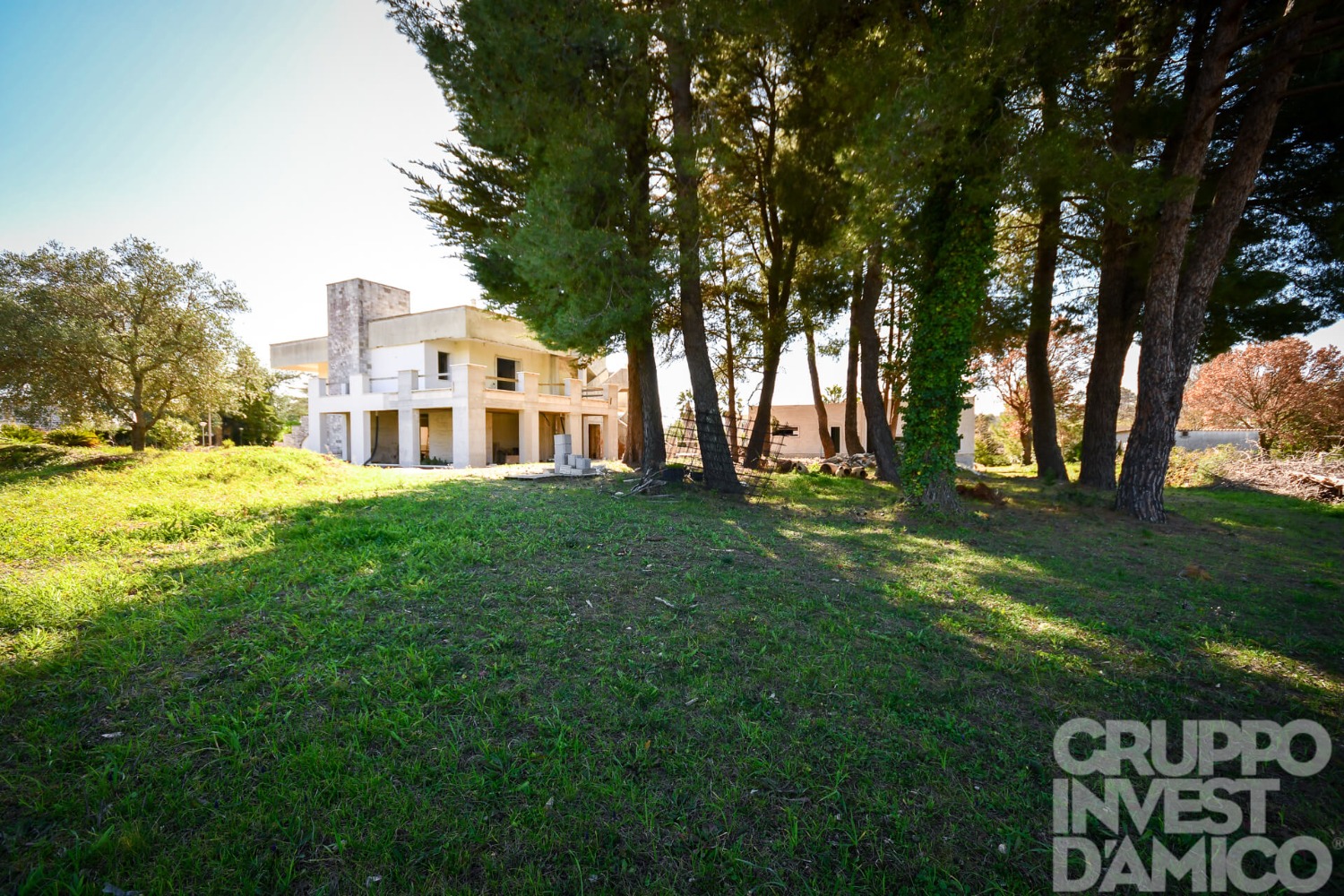 immagine annuncio 10 di 13