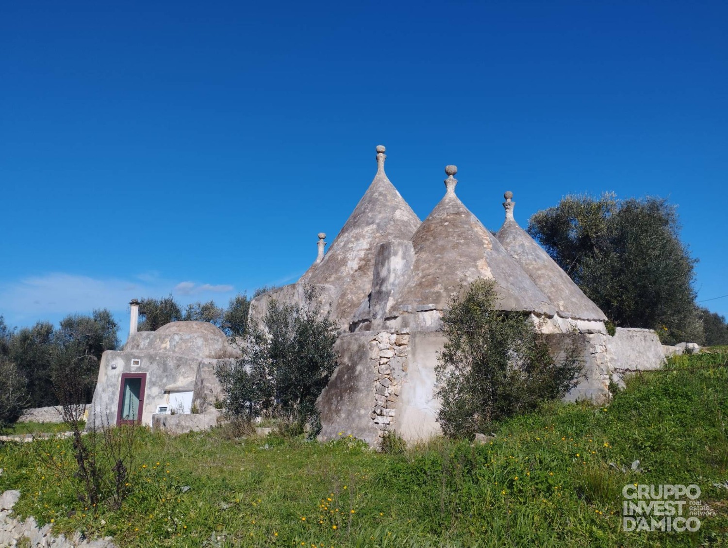 immagine annuncio 1 di 10