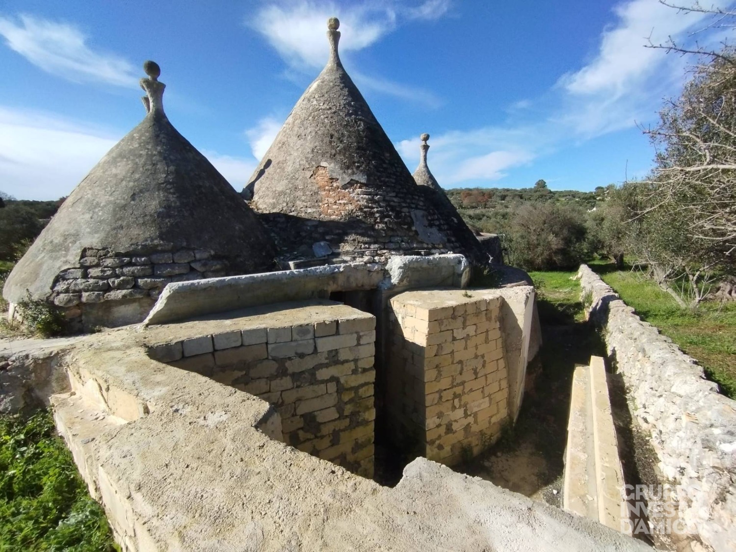 immagine annuncio 2 di 10