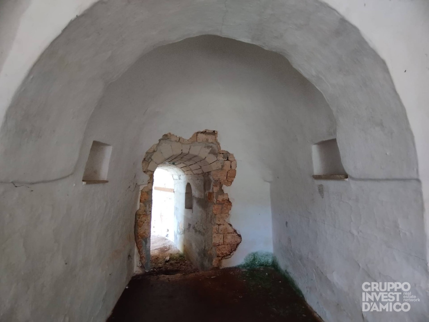 immagine annuncio 4 di 10